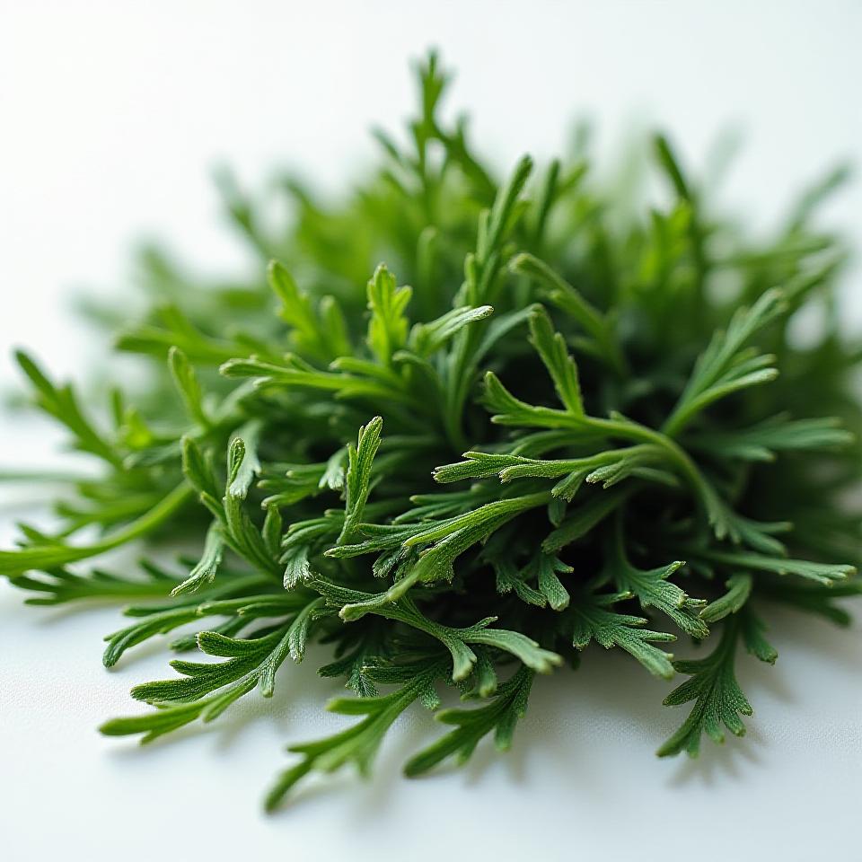 静岡深蒸し煎茶プレミアム